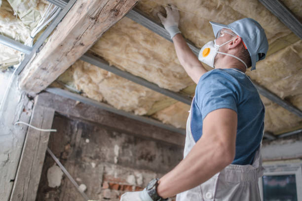 Best Cellulose Insulation in Kentfield, CA
