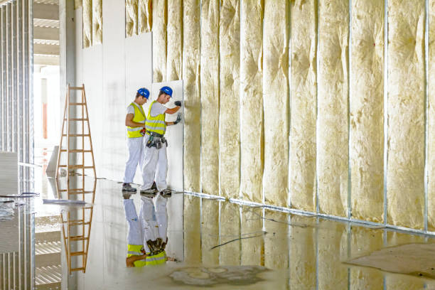 Types of Insulation We Offer in Kentfield, CA